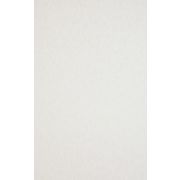 Мебельный щит(ДСП, 3 000, 600, 6, 38, гл) Белый перламутр